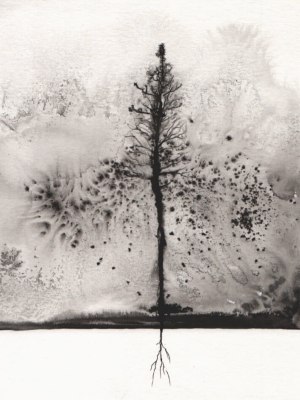18.09.2021 15-34-35-01a.jpg