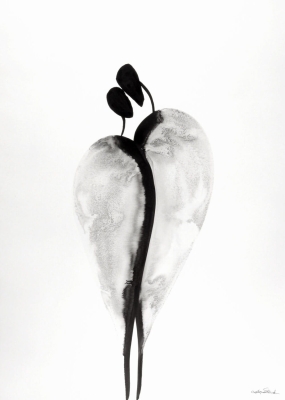 zestaw 2 obrazów 50 x 70 cm, minimalizm