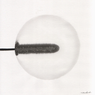 zestaw 4 grafik 30 x 30 cm, styl skandynawski