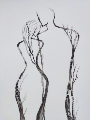 grafika 40x50