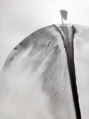 nowoczesne-obrazy-tryptyki