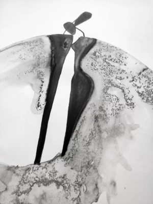 duze-grafiki-na-sciane-oryginalne-artystyczne