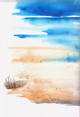 DSC02769aa.webp