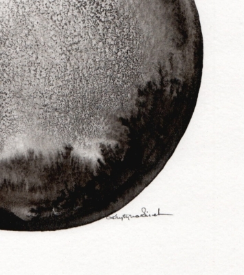 absytakcja do salonu (41).jpg
