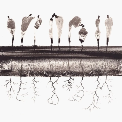 ekskluzywne-galerie-scienne-grafiki-tuszem