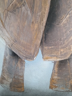 mloda-sztuka-obrazy-mlodych-artystow-na-sprzedaz-70x100