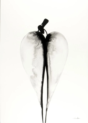 tryptyk-obraz-3-czesciowy