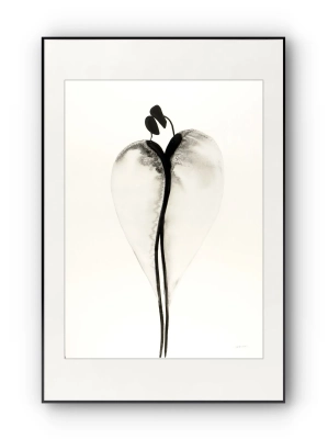 duze-grafiki-50x70-oryginalbe-na-sciane-do-salonu