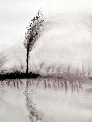 DSC03851a.webp