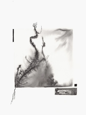 grafiki-na-sciane-do-salonu-30x40-ekskluzywne-pracownia-siwek