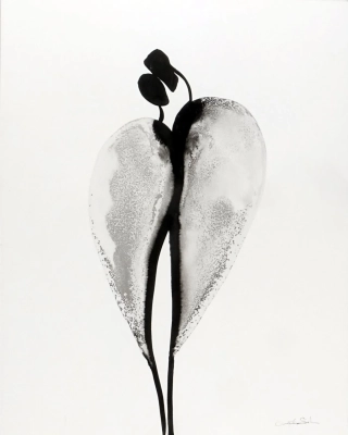 grafiki-plakaty-artystyczne-do-salonu-40x50