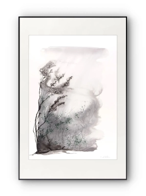 DSC04852z.webp