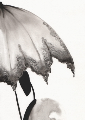 DSC00479a.jpg